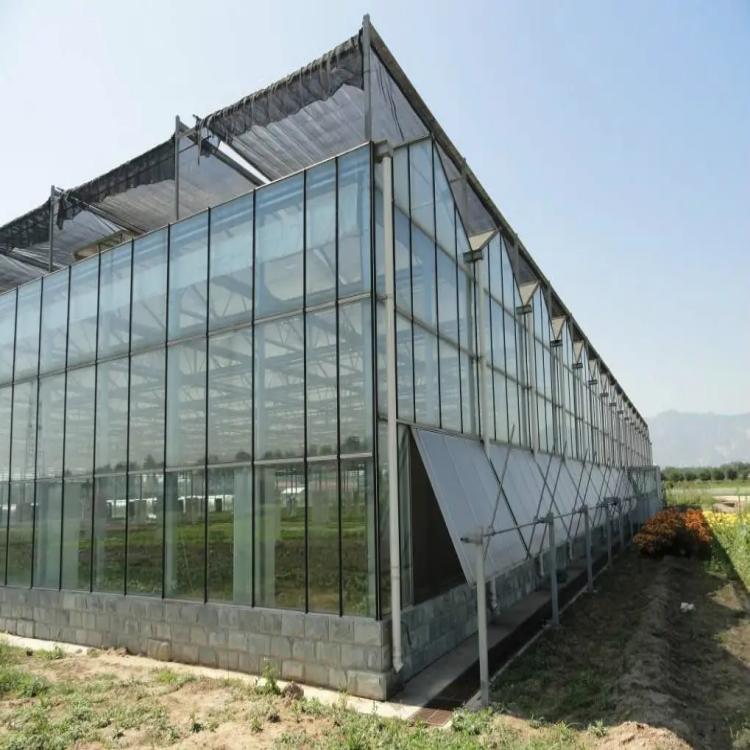 玻璃温室安装 (2).jpg
