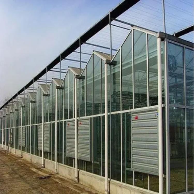 玻璃温室安装 (4).jpg